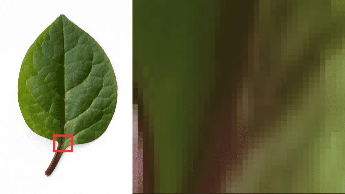 What is a Pixel and How Image and Video Rendering Works in Digital Environments