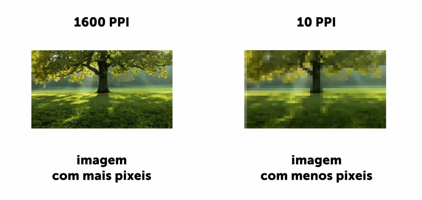 What is a Pixel and How Image and Video Rendering Works in Digital Environments